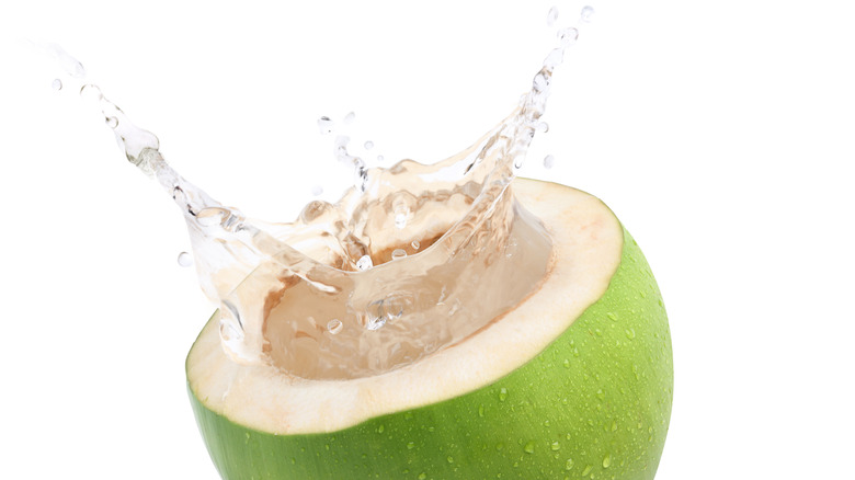 A halved green coconut with water splashing out of it 