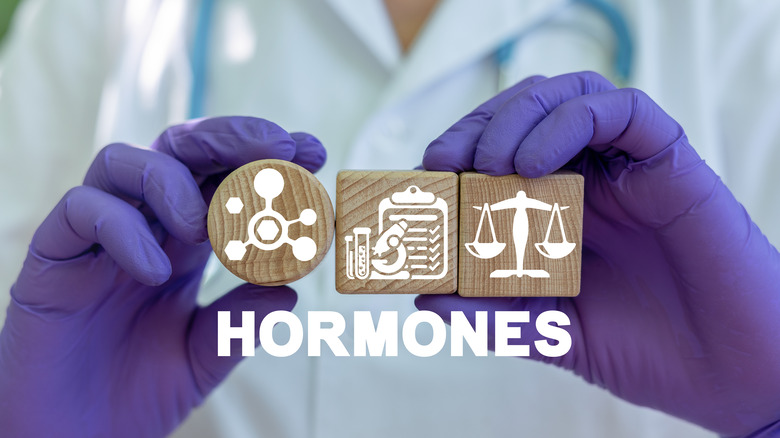 Close up on a doctor's gloved hands holding three wooden blocks above the word "hormones"
