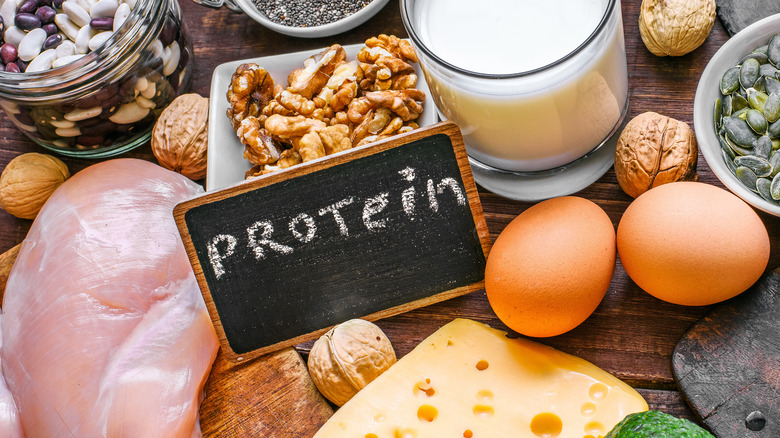 Word "protein" with food that is a source of protein