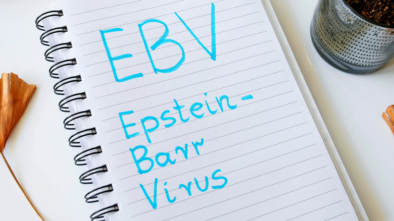 notebook with EBV written in blue highlighter