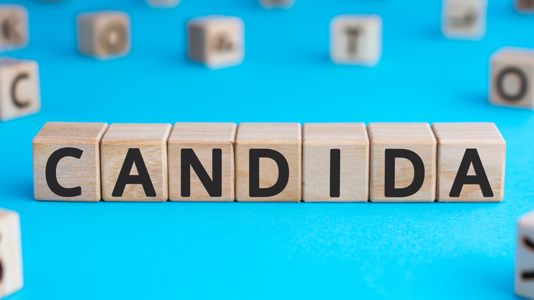 Candida spelled in wooden blocks