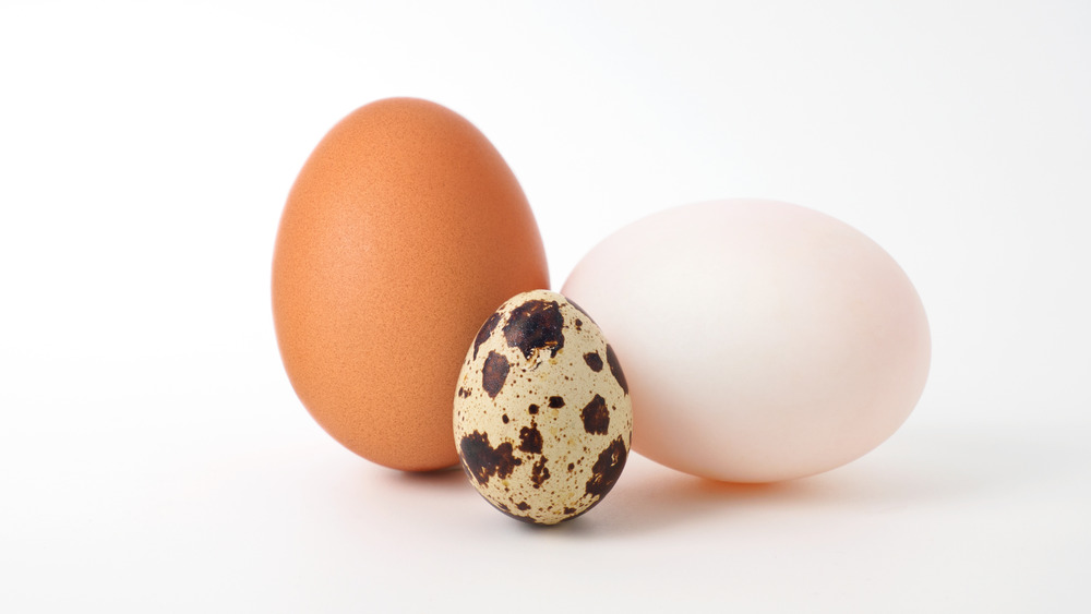 three types of eggs with an all white background 