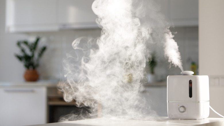 Humidifier on a kitchen counter