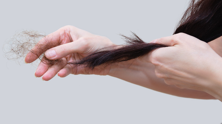 hair loss concept. Woman pulling excess amount of hair from the ends