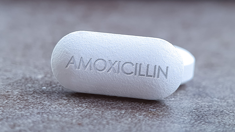 Amoxicillin tablet