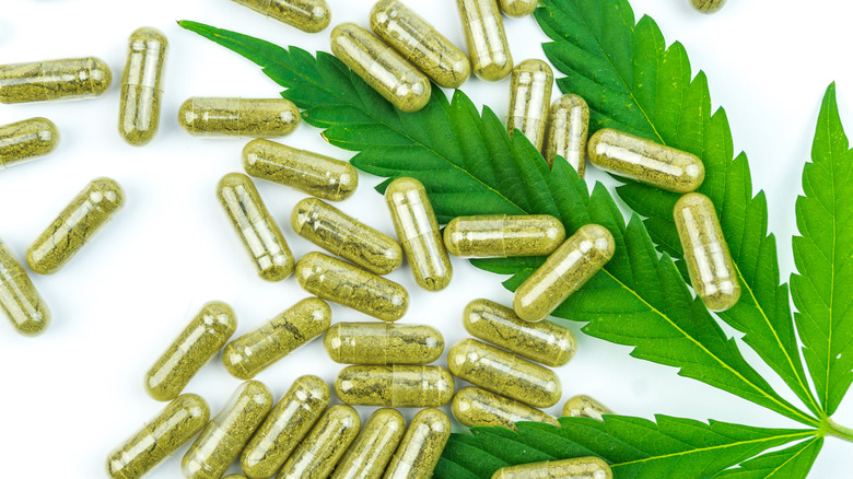 cbd capsules hemp concept