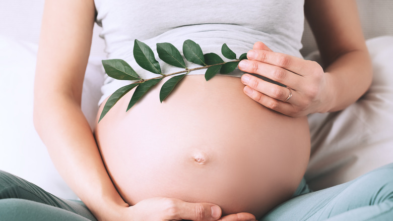 pregnant woman's belly holding a leaf