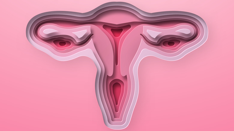 paper cutting of uterus