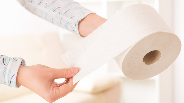 Hands holding toilet paper roll