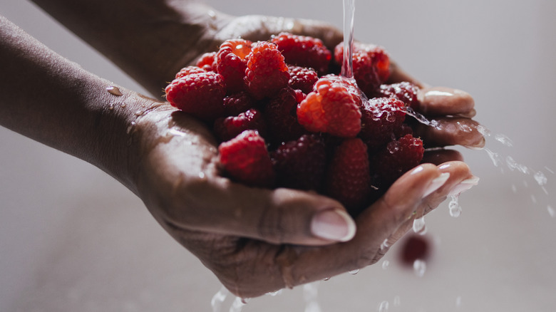 woman's hands washing a handful of fruit