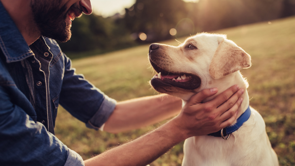 Man petting dog